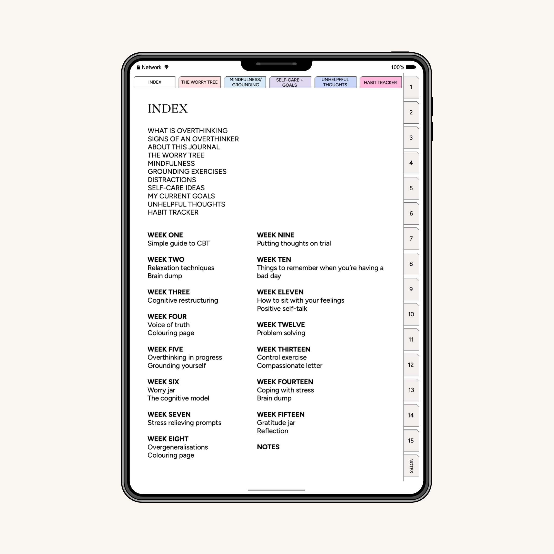 Digital Overthinking Journal