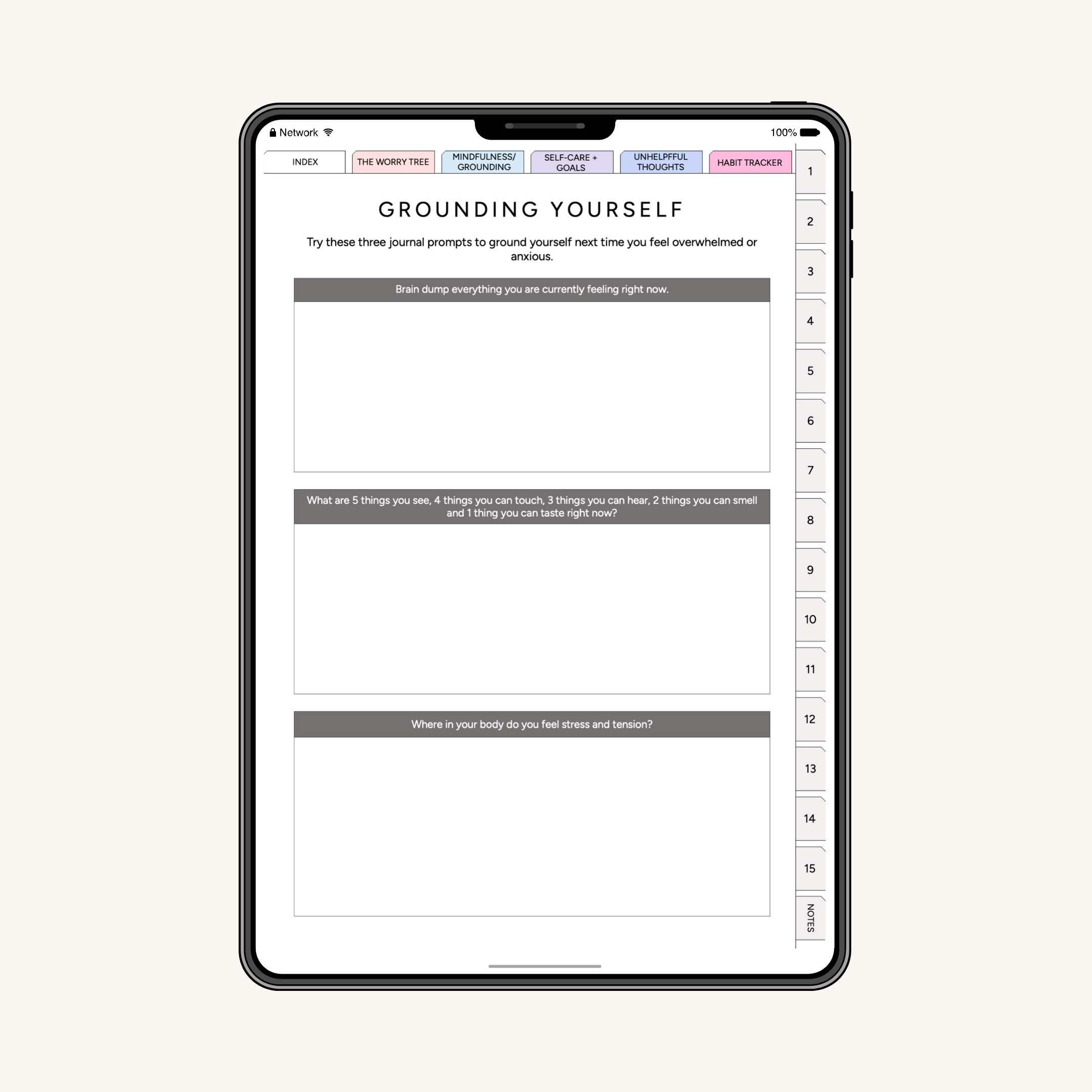 Digital Overthinking Journal