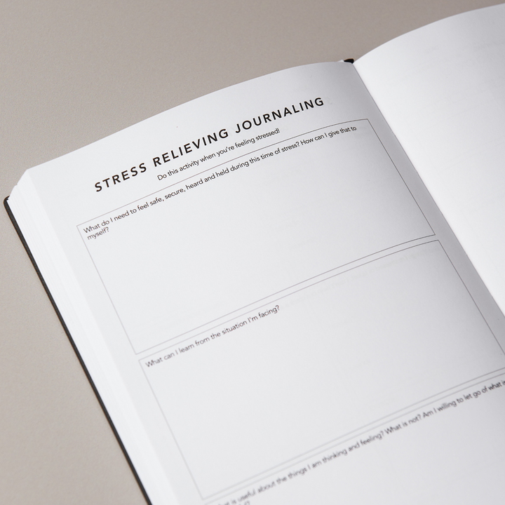 Seek Self Wellbeing Journal (For Men)
